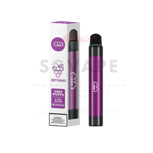 LANA Pen 2000Puff